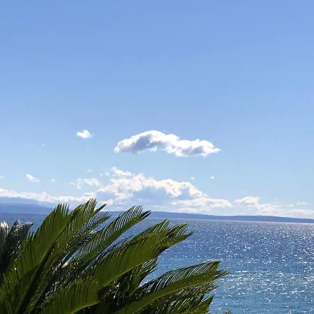 Charming In Novigrad, 45 Sqm, With Terrace