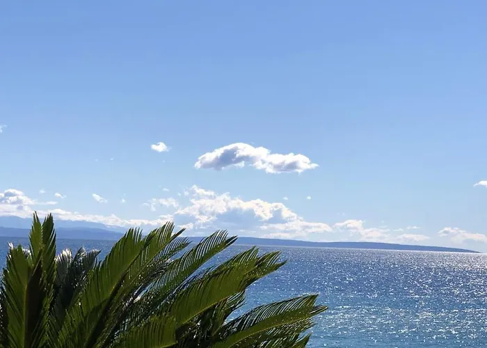 Charming In Novigrad, 45 Sqm, With Terrace